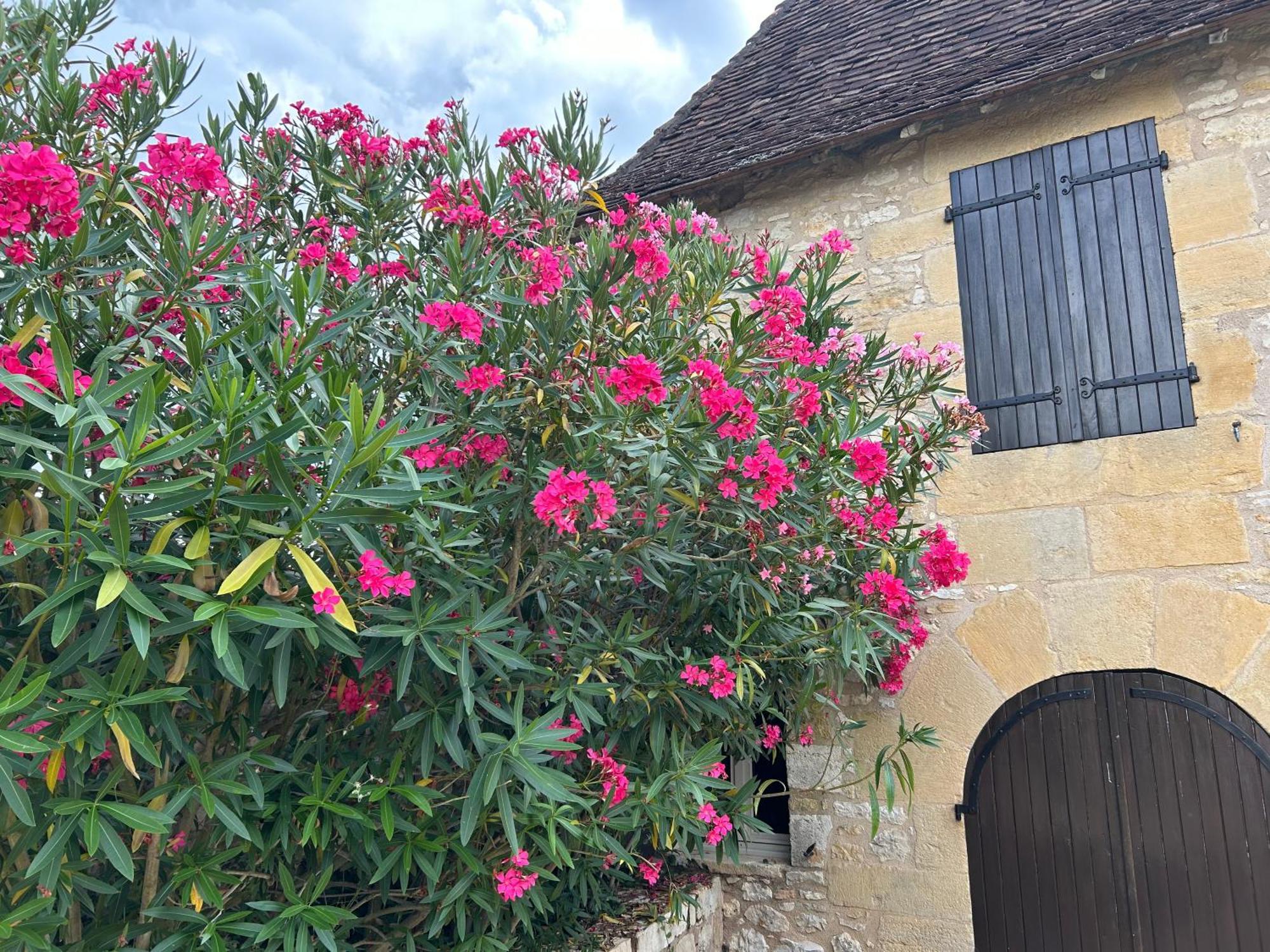 Demeure Du Vallon - Chambres D'Hotes De Charme Azerat Zewnętrze zdjęcie