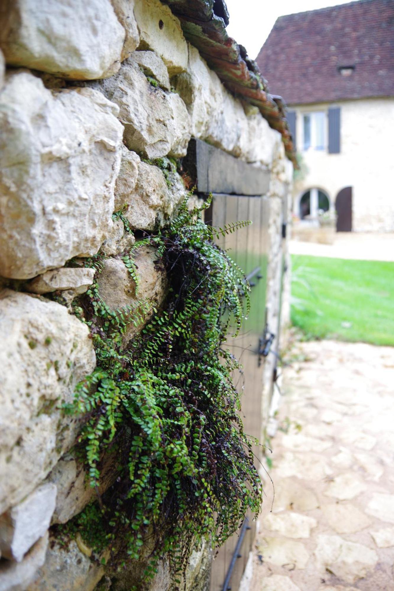 Demeure Du Vallon - Chambres D'Hotes De Charme Azerat Zewnętrze zdjęcie